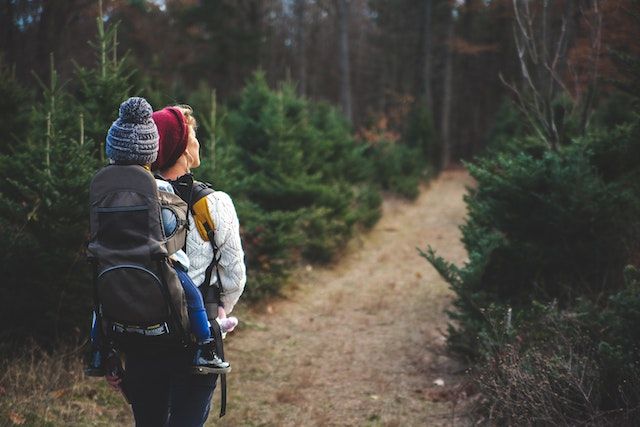 Balade en forêt avec bébé