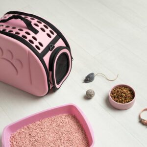 5 accessoires pour assurer le bien-être d’un chat à la maison