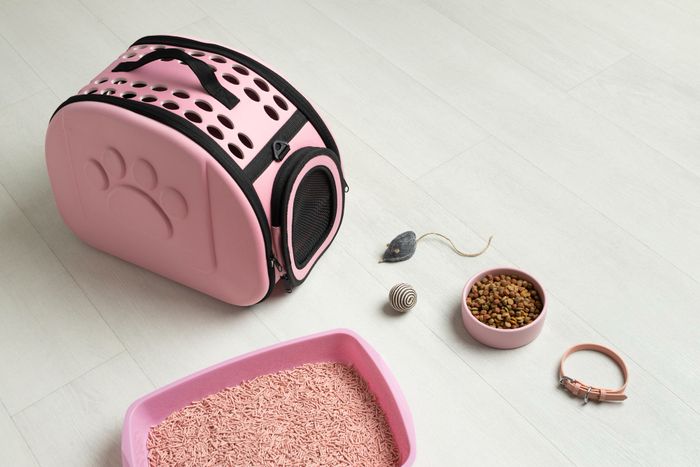 accessoire chat bien etre