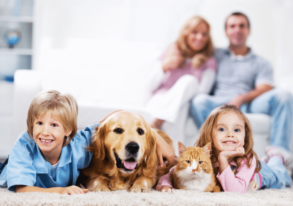 animal domestique et enfants