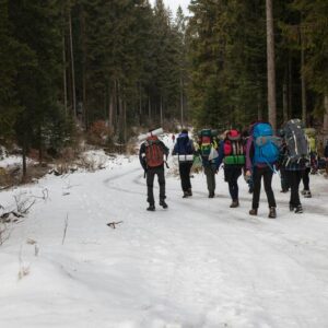 Se promener en forêt en hiver : les tenues indispensables