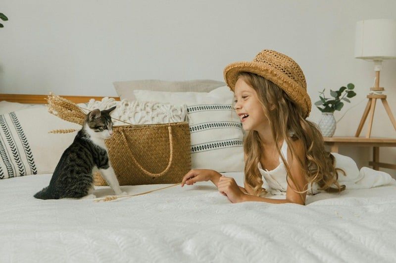 jouer avec son chat