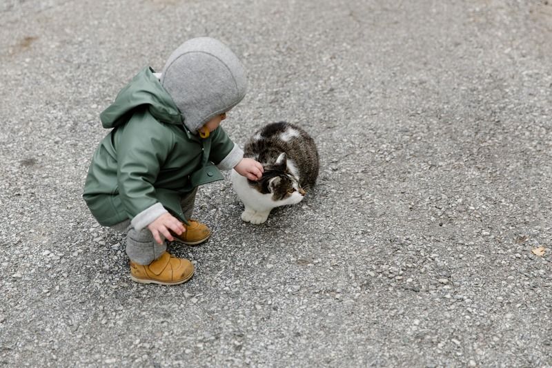un enfant avec un chat
