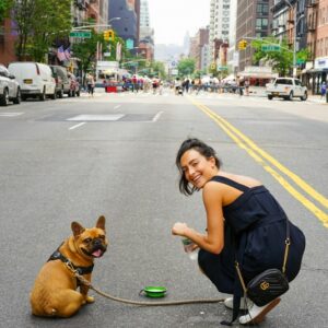 Harnais pour son Bouledogue français : Quand et comment l’utiliser ?