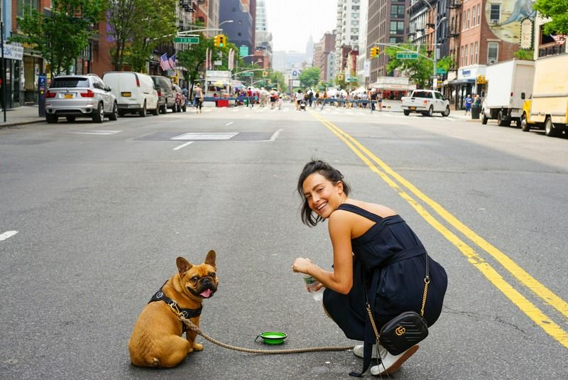 bouledogue français dans la rue